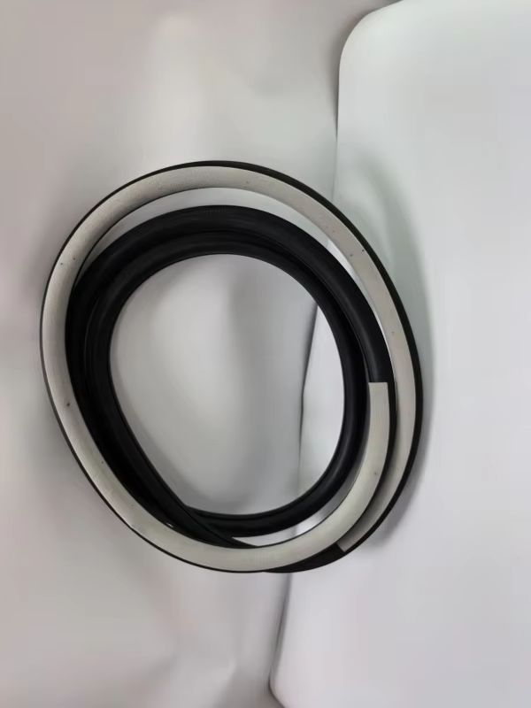 Front Left Door Frame Weathers - Door Weather Strip recensie en prijs