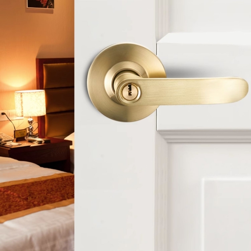 Interior Door Lever Lock with  - Door Knob Replacement recensie en prijs