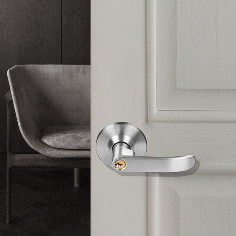 Interior Door Lever Lock with  - Door Knob Replacement recensie en prijs
